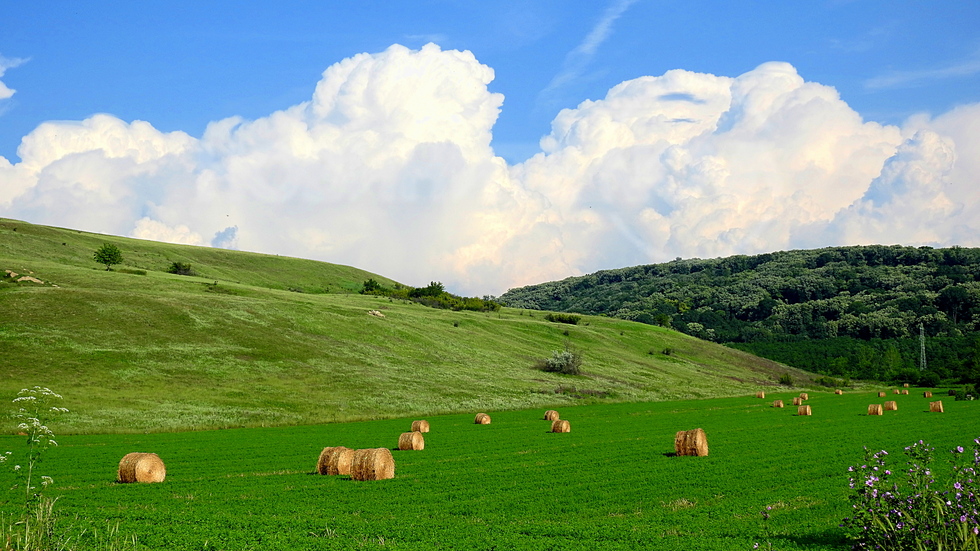 Времето за балите!