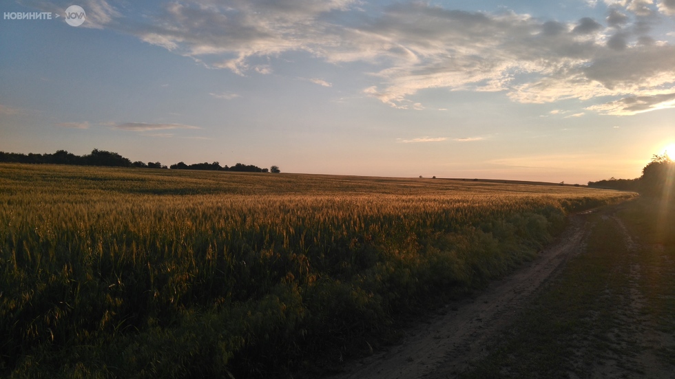 Пролет в полето