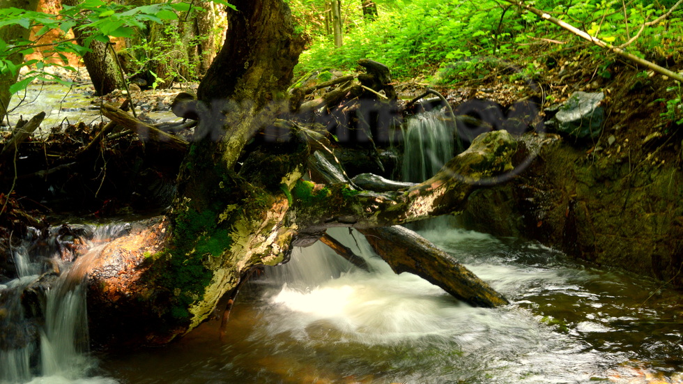 Прекрасно място за отдих