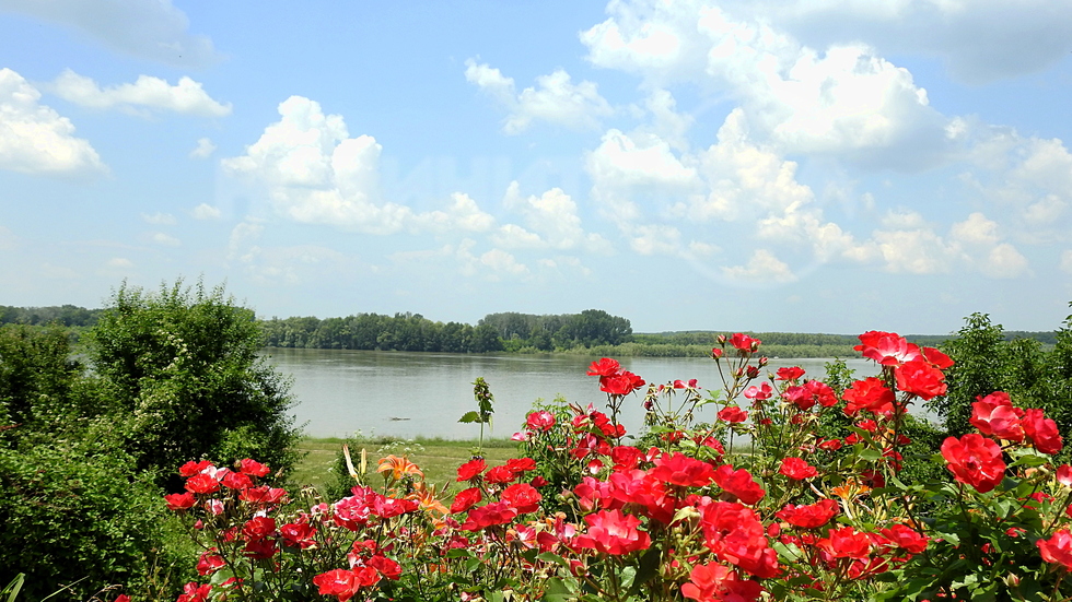 Тутракан - китно туристическо и рибарско градче!