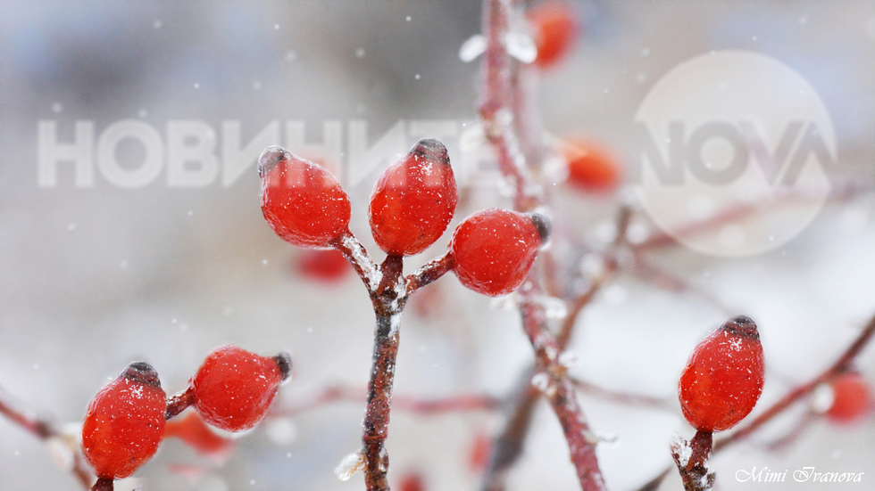 Приказно снежно настроение