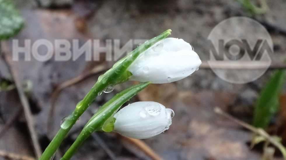 Дъждовен ден!