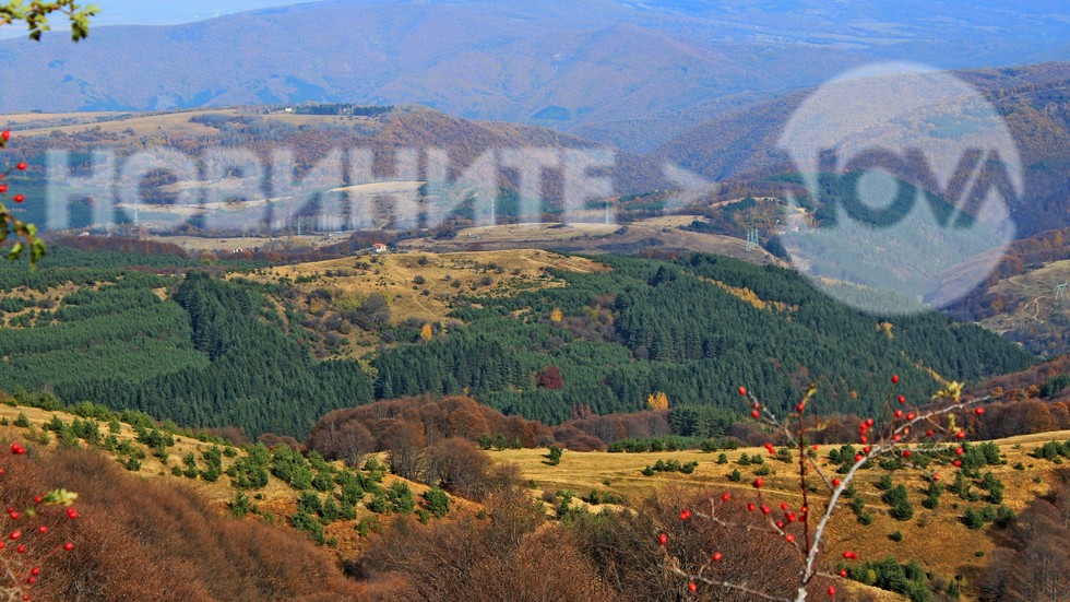 Витоша