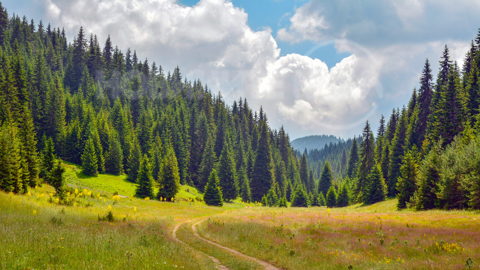 Из Родопите