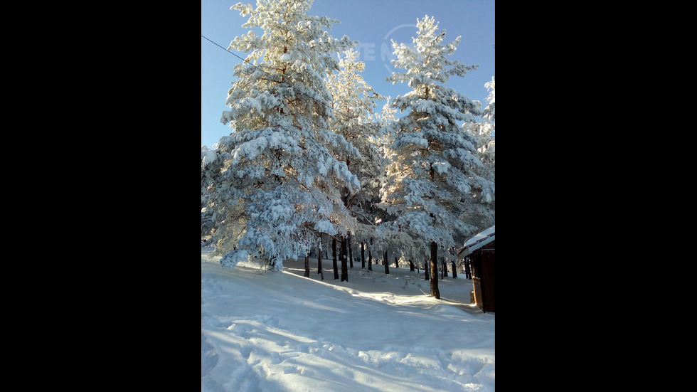 Зимна приказка на Беклемето