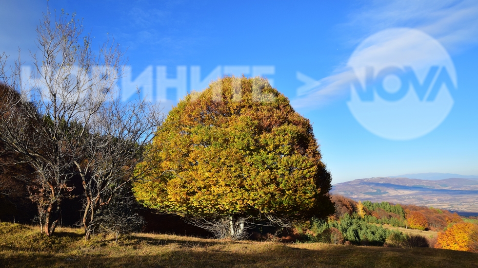 Осоговската планина