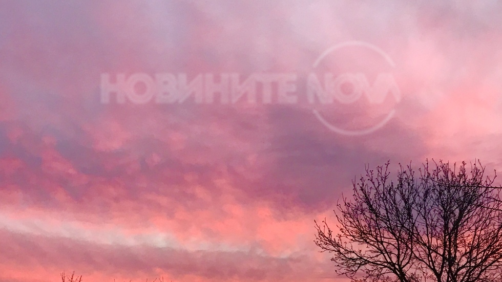 Розова залезна фантазия
