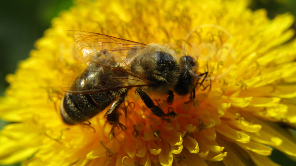 И днес е прекрасно отново