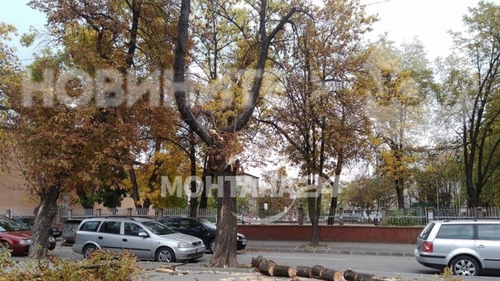 Силен вятър в Монтана