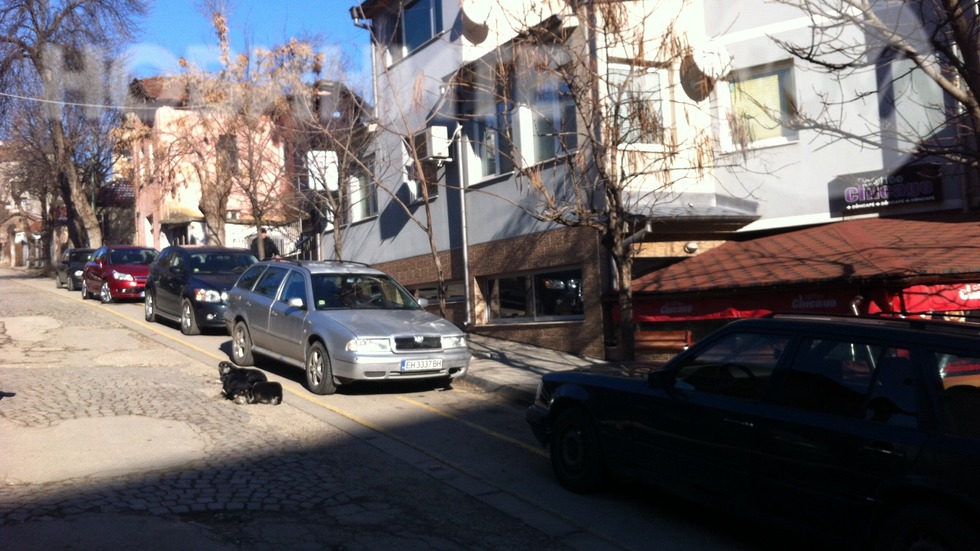 Велоалея в Плевен