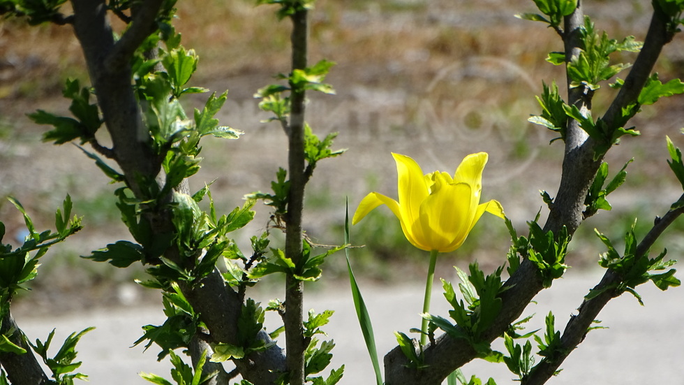 Слънце и красота!