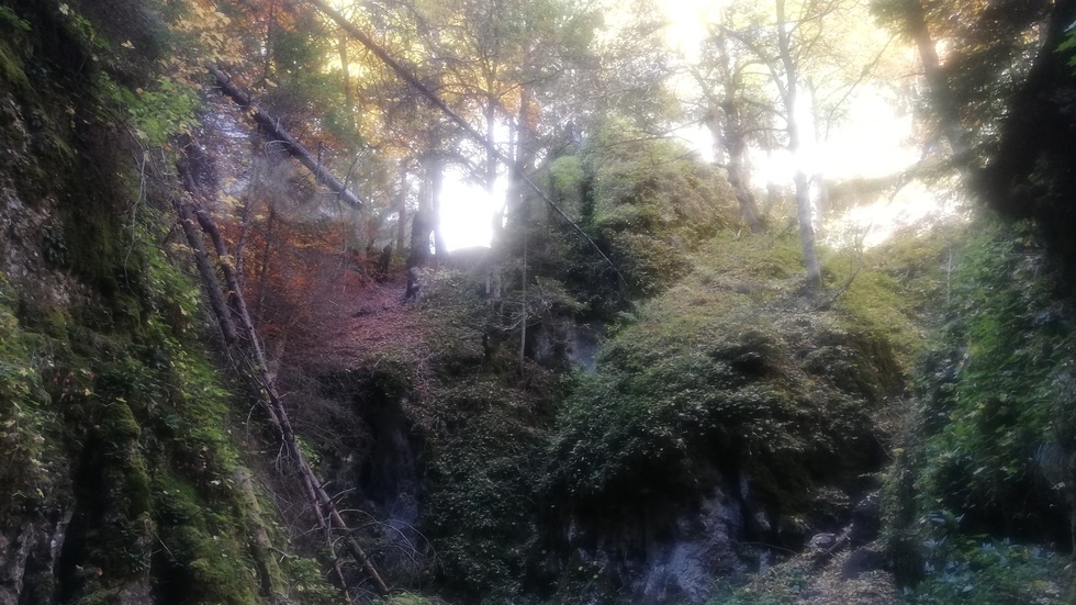 Красива и прелестна есен