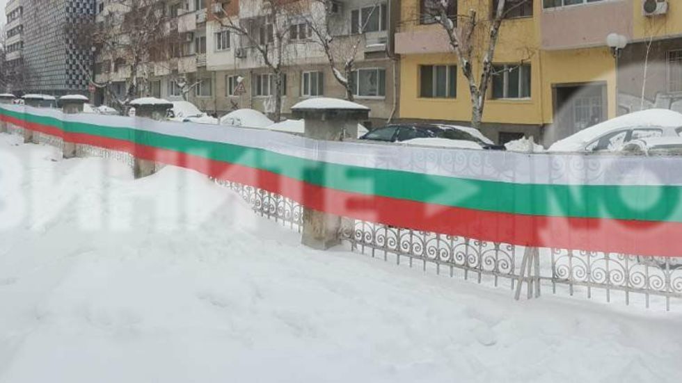 В прегръдката на българския трибагреник
