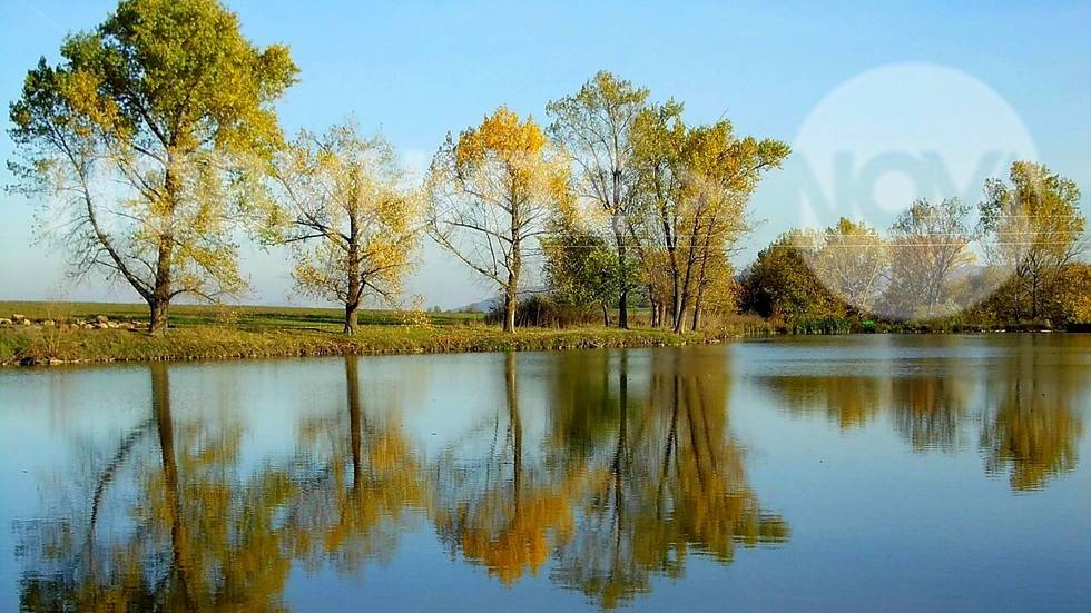Водно огледало