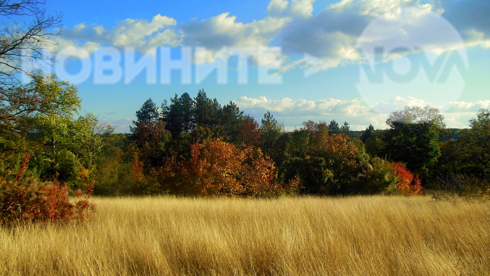 Есенна симфония