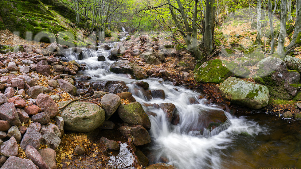 Красива България