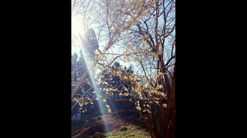 Пролет