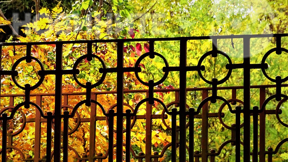 Букет от цветове зад оградата
