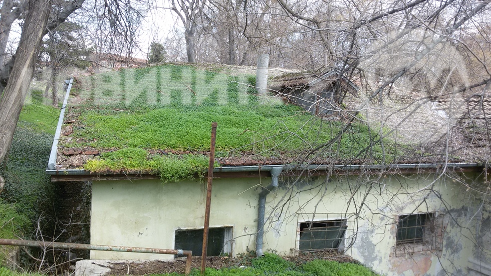 Екодизайн...;)...зелен покрив на Баня Топлина в Хисаря