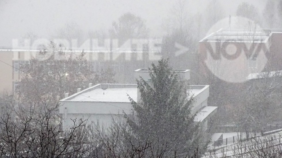 Вали сняг в Плевен