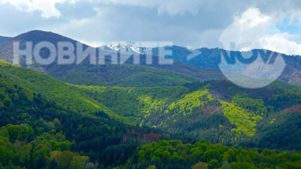 Пролетни вълнения край Осогово