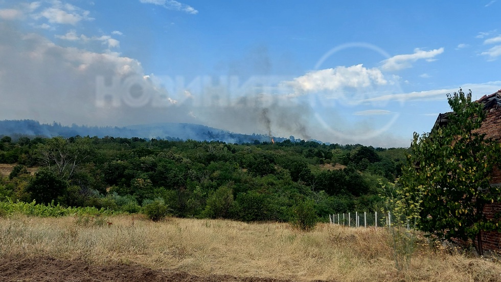Пожар между селата Левски и Елшица
