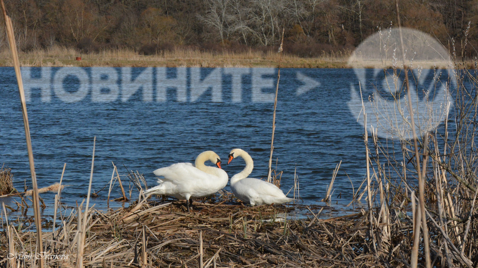 Край язовир "Венелин" в последния ден на януари