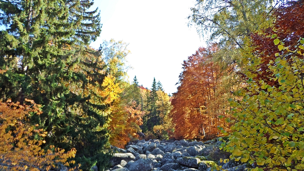 Златна есен на Златните мостове
