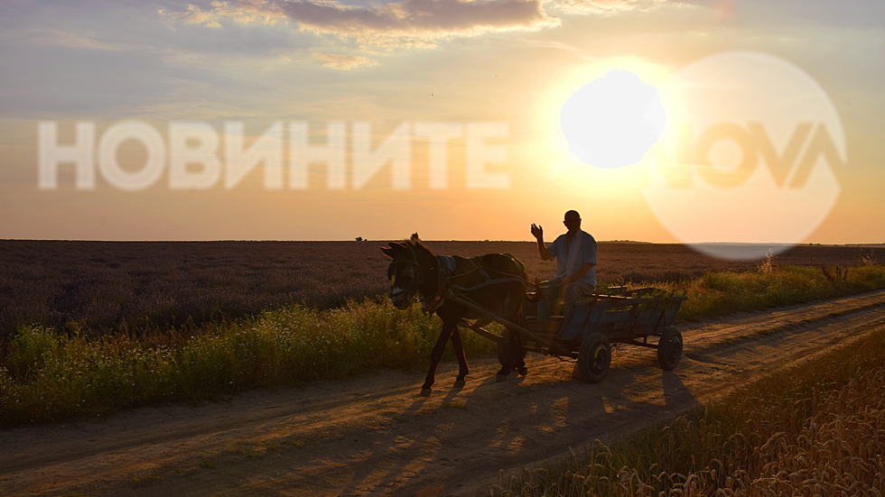 На връщане от нивата