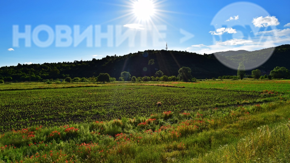 Родното поле винаги е най-красиво