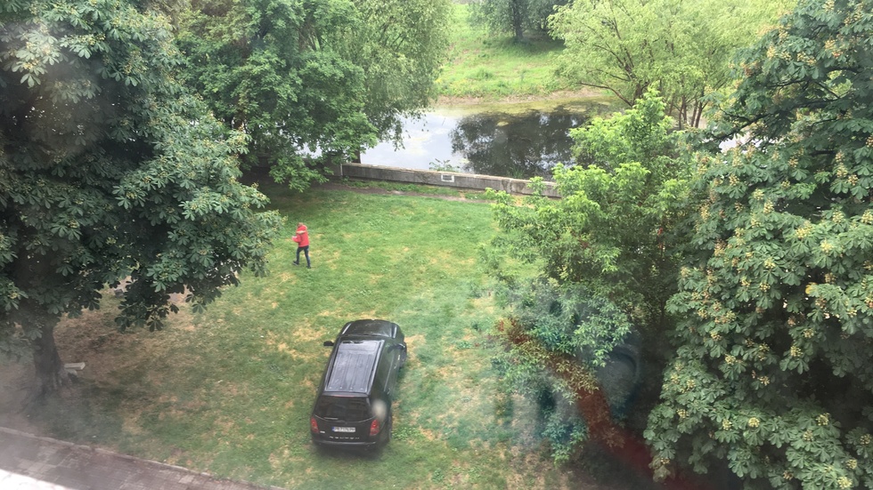 Паркиране в зелени площи