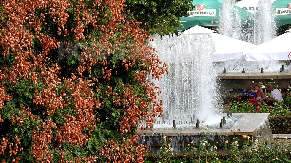 Горещ и цветен септември в Разград!