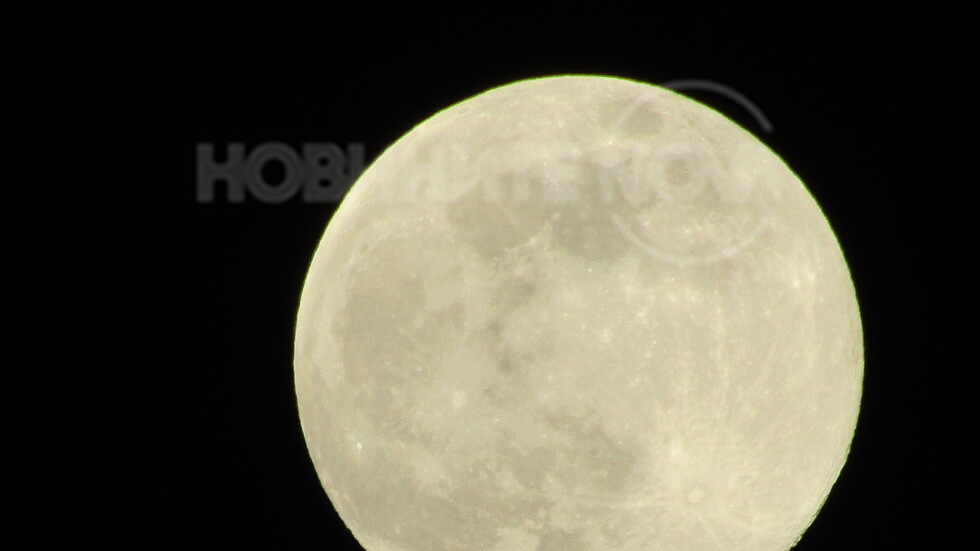 Природа