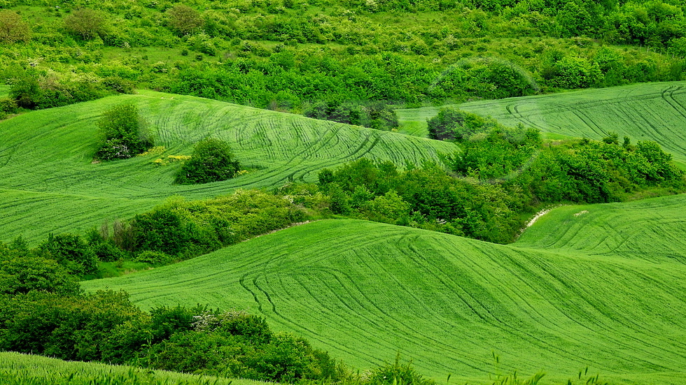 Майски нюанси зелено!