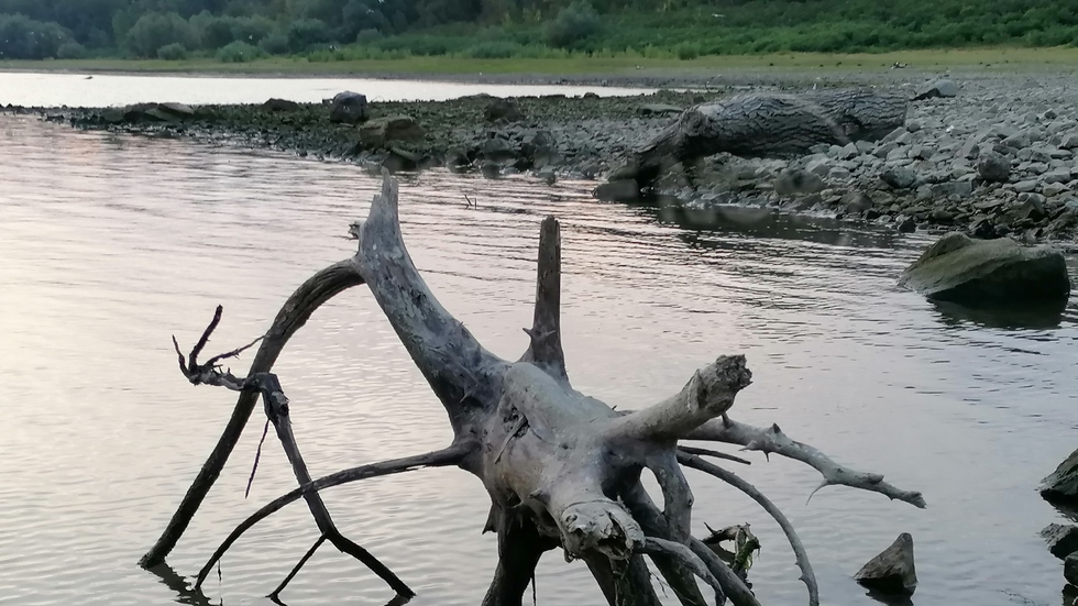 Рано край реката