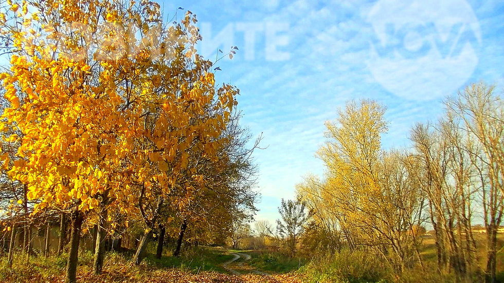 "Златни" пътеки