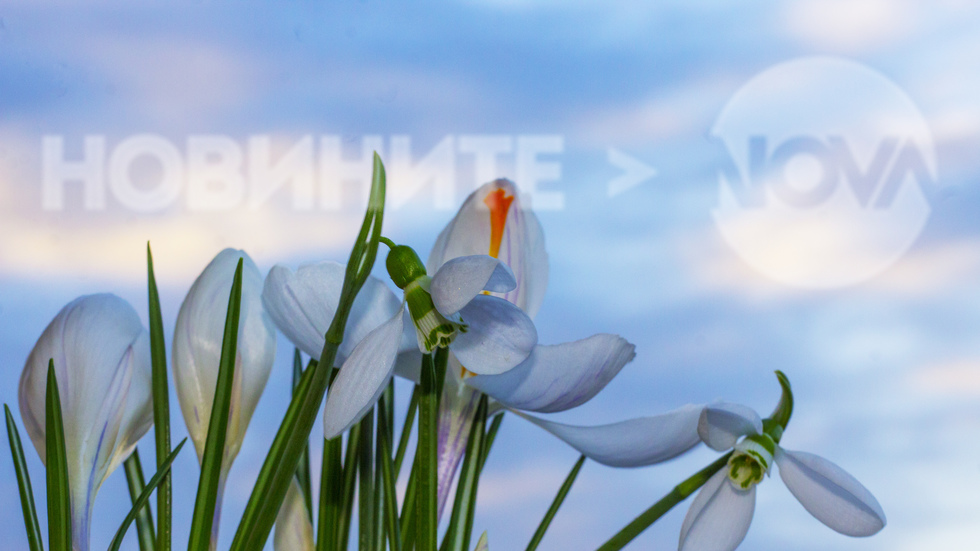 Февруарско