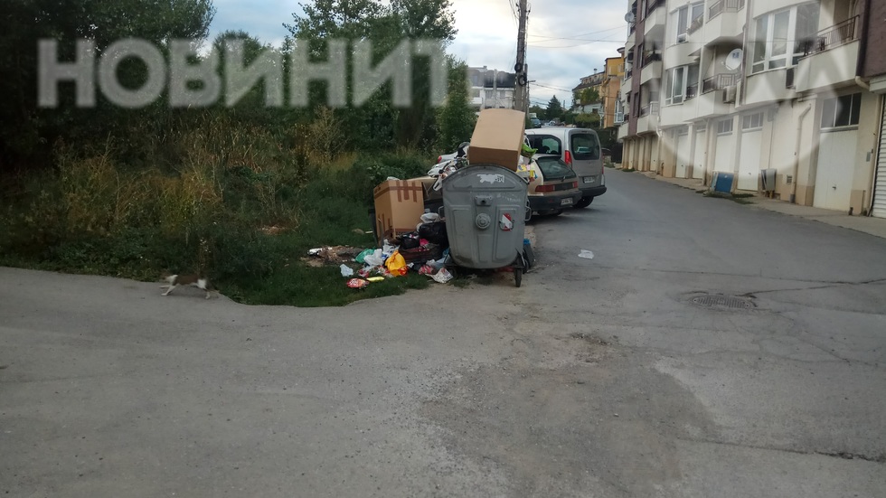 "Сметопочистване" в кв. "Княжево"