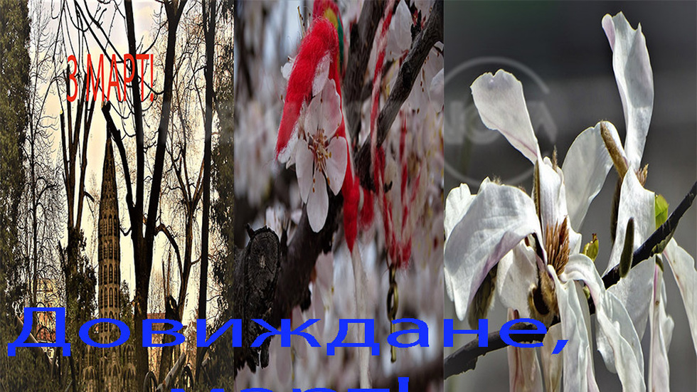 Сбогуване с месец март!