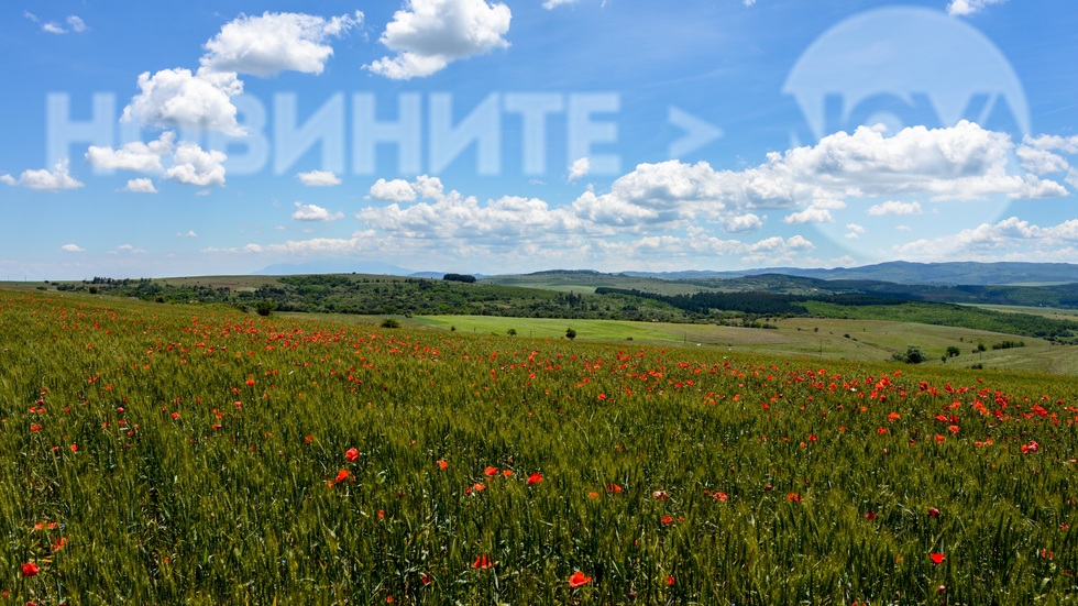 За прогнозата