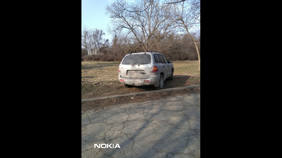 Зелени площи