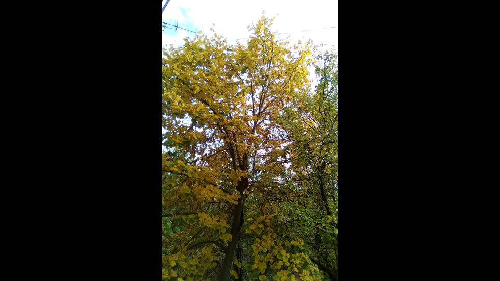 Есенно време в Горна Оряховица