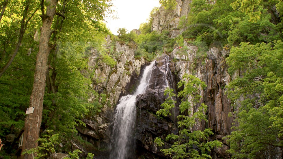 Боянски водопад
