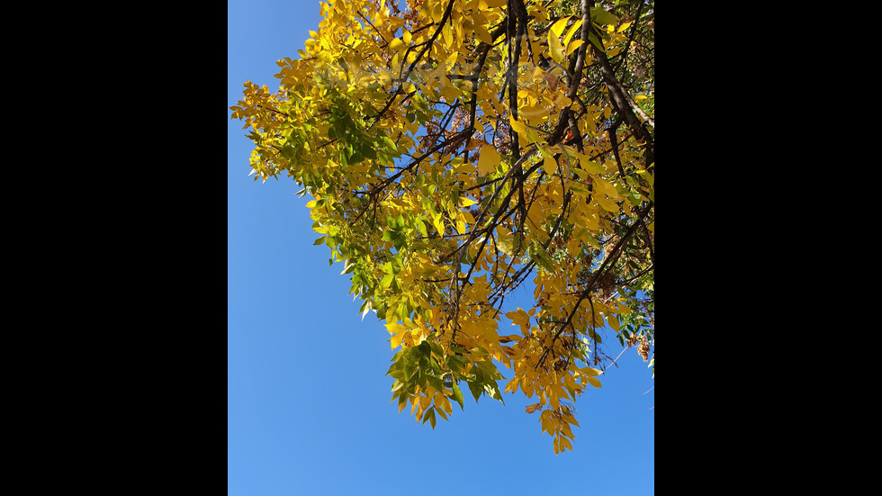 Есенна приказка