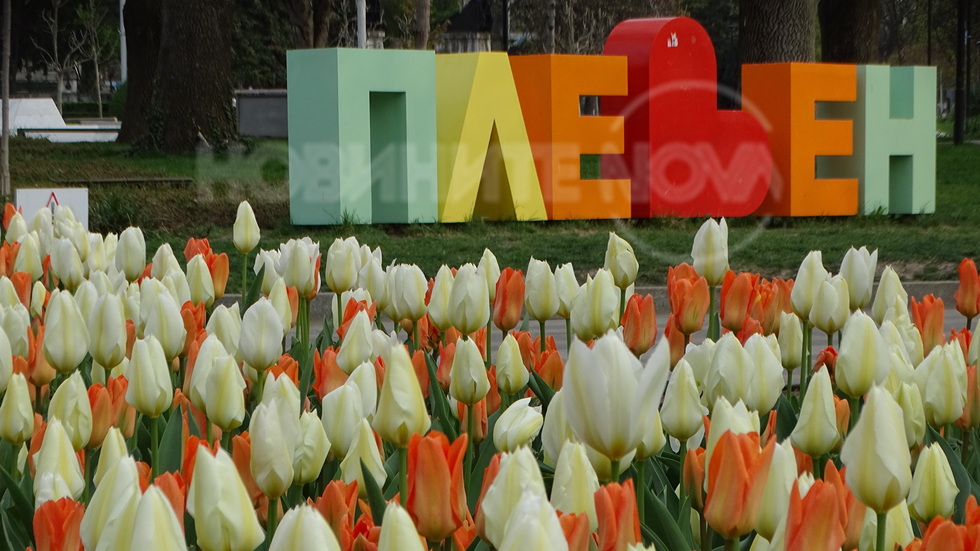 Поздрави от Плевен!