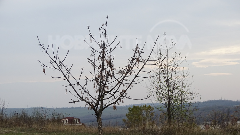 Късна есен!