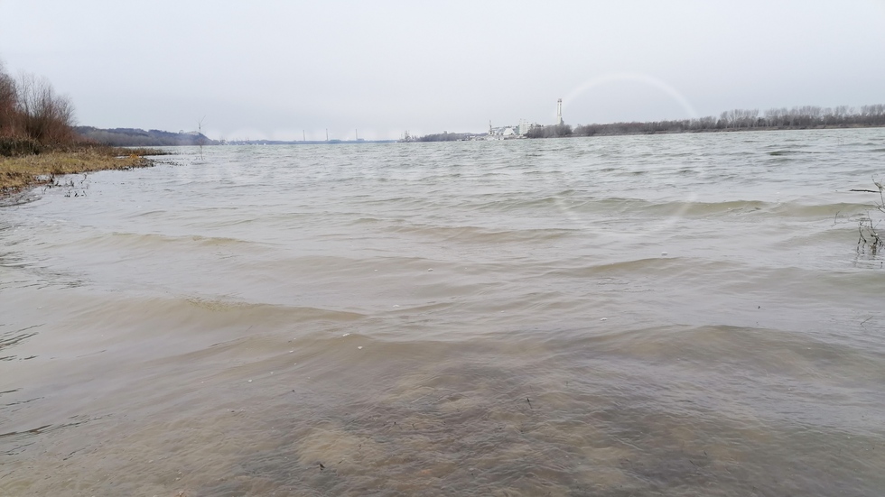 Студено и безснежно в Свищов