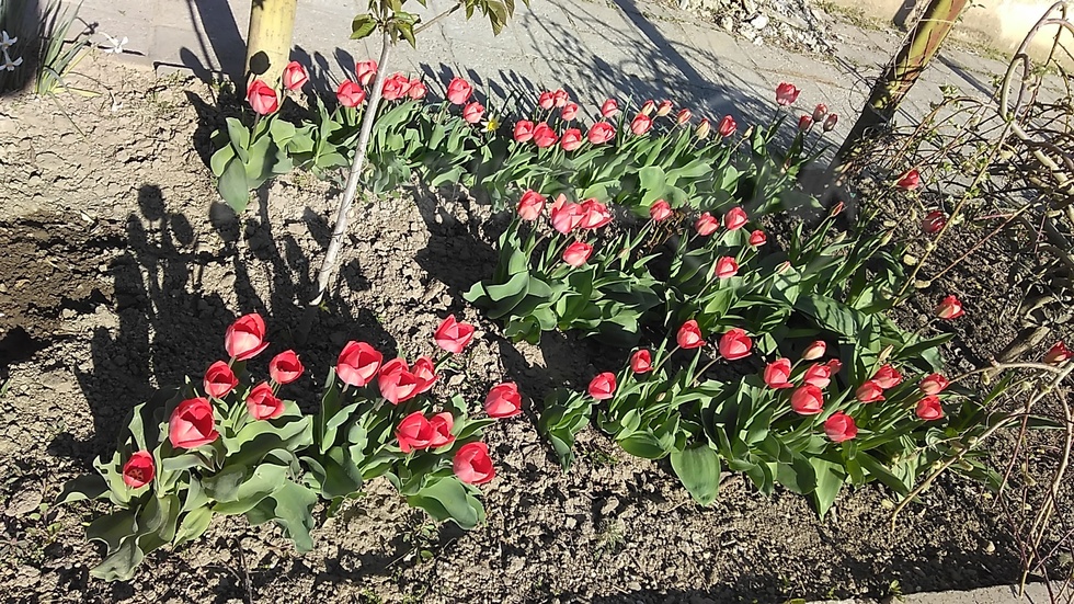 Пролетен поздрав за екипа!