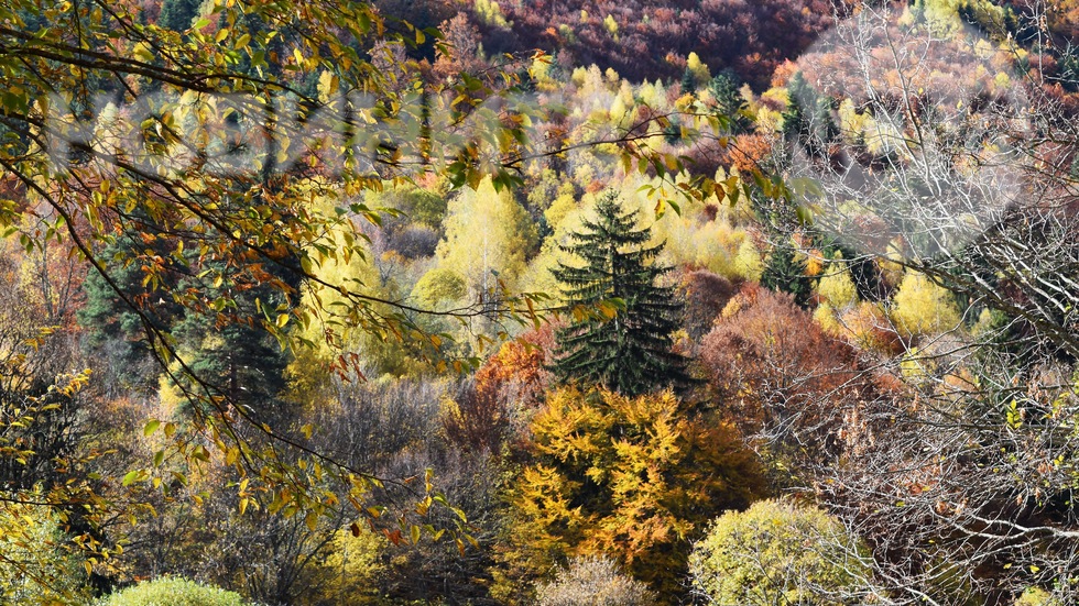 Усмивки от планината