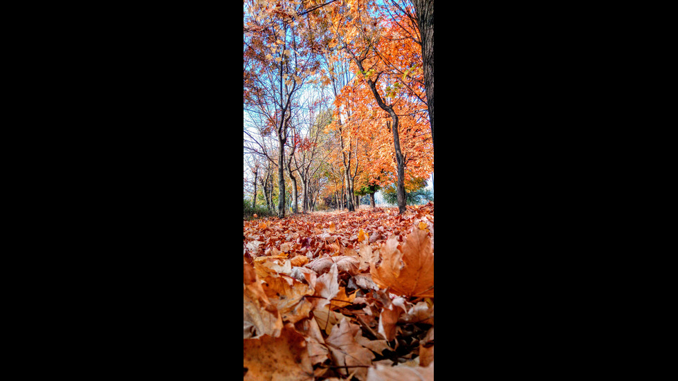 Есен в Търговище